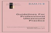 GuidelinesFor Professional Ultrasound Practice - BMUS · SCoR/BMUS Guidelines for Professional Ultrasound Practice. Revision 1. December 2016. 2 2.4 Vetting of ultrasound requests