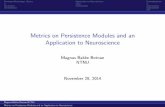 Metrics on Persistence Modules and an Application to ... · Persistent Homology: Basics Application to Neuroscience Generalizations Metrics on Persistence Modules and an Application