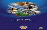 Financial Inclusion Strategy - ZIMBABWErbz.co.zw/assets/zimbabwe-financial-inclusion-strategy-.pdf · i i fii i 2016 2020 • i table of contents chapter 1. introduction 1 chapter