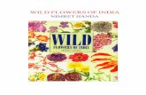 WILD FLOWERS OF INDIA - CSIRplaypen.icomtek.csir.co.za/~acdc/education/Dr_Anvind_Gupa/Learners...Wild flowers are to ... in the countryside or climbing a hill in the Himalayas you