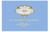 ST PETER’S COLLEGE · Year 11 NCEA LEVEL 1 2018 4 Chemistry Not Offered at Level 1 14 Credits in Level 1 Science (including 4 external credits in Chemistry standard)