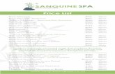 Sanguine Spa price list 2017sanguinewellness.co.za/downloads/pricelist2017.pdf · Price List Back Massage Back Massage Treatment Golfer’s Massage – Back and Feet Treatment Full