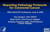 Reporting Pathology Protocols for Colorectal Cancer · Reporting Pathology Protocols for Colorectal Cancer 2005 NAACCR Conference: ... of cancer checklists with text-based narrative