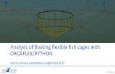 Analysis of floating flexible fish cages with ORCAFLEX… · 2 SUMMARY Purpose of this presentation is to document analysis of floating flexible fish cages performed in ORCAFLEX Comparison