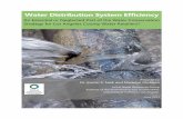 Water Distribution System Efficiency Distribution System Efficiency: An Essential or Neglected Part of the Water Conservation Strategy for Los Angeles County Water Retailers ?