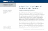 Maxillary Sinusitis of Endodontic Origin - aae.org · AAE Position Statement – Maxillary Sinusitis of Endodontic Origin | Page 3 The terms MSDO, odontogenic sinusitis, odontogenic