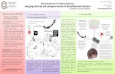 Consciousness in mixed systems: here…. TUCSON …cogprints.org/6828/1/qualitativeBMI.pdf · Consciousness in mixed systems: merging artificial and biological minds via Brain-Machine