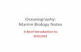 Oceanography: Marine Biology Notes - Sewell's Science …msewell.weebly.com/.../2_-_mb_-_basics_of_biology.pdfThe Essential Building Blocks of Life •Just like water is a molecule,