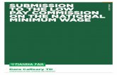 SUBMISSION TO THE LOW PAY COMMISSION … Submission_Fianna... · SUBMISSION TO THE LOW PAY COMMISSION ON THE NATIONAL MINIMUM WAGE ... As the Irish Low Pay Commission ... role in