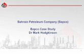 Bahrain Petroleum Company (Bapco) Bapco Case … it is not surprising that OE is different for different missions Bapco Mission Execution = Sound Strategy + OE 4 Mission: Preserve/Protect
