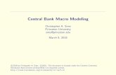 Central Bank Macro Modeling · 2018-03-14 · Central Bank Macro Modeling Christopher A. Sims Princeton University sims@princeton.edu March 8 ... dynamic scal policy and recognizes