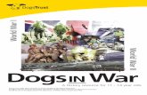 World War II DogsINWar - Teaching Ideas War I World War II ©DogsTrust2009.ThesematerialsarefreelycopiableinEducationalInstitutions. ... Dogs Trust, 17 Wakley Street, London EC1V 7RQ