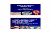 Pediatric Renal Tumors: Update for 2014 - Pathology · Pediatric Renal Tumors: Update for 2014 John Hicks Texas Children’s Hospital & Baylor College of Medicine Renal Tumors of