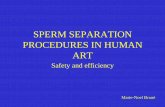 SPERM SEPARATION PROCEDURES IN HUMAN ART · SPERM SEPARATION PROCEDURES IN HUMAN ART ... ¾Some batches of Percoll have high endotoxin levels ... ¾IVF fertilization and embryo quality