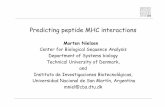 Predicting peptide MHC interactions - DTU Bioinformatics B5126 A2426 A1102 A2446 A0307 B1554 A0318 A3001 B1588 B3524 B3936 B3519 B4603 A2442 B1812 A0227 A2424 B0741 A1117 B3546 B1513