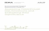 Environmental Impact Assessment Guide to: Assessing ... Guide_GHG Assessment and... · Gas Emissions and Evaluating their Significance ... information to business, ... Environmental