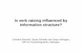 Is verb raising influenced by information structure?archive.sfl.cnrs.fr/sites/sfl/IMG/pdf/Dimroth_Schimke_Verhagen... · Is verb raising influenced by information structure? Christine