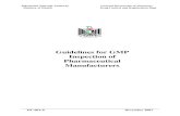 Guidelines for GMP Inspection of Pharmaceutical …€¦ · Palestinian National Authority General Directorate of Pharmacy Ministry of Health ...