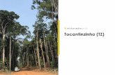 Tocantinzinho (TZ) · TZ: Highlights 2 2019 Planned Production 2017 2008 Formed option agreement 2010 Acquired TZ Project 2012 Approval of Preliminary EIA 2015 Positive Feasibility