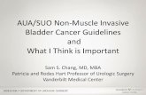 AUA/SUO Non-Muscle Invasive Bladder Cancer Guidelines … · AUA/SUO Non-Muscle Invasive Bladder Cancer Guidelines and What I Think is Important Sam S. Chang, MD, MBA Patricia and