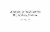 Microbial Diseases of the Respiratory System - Taft Collegefaculty.taftcollege.edu/dsheehy/includes/courses/Microbiology8... · Microbial Diseases of the Respiratory System Chapter