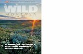 A PIVOTAL MOMENT FOR OUR PRAIRIE WILDLANDSwildmontana.org/downloads/wmfall2015.pdfTHE ROADLESS LESS TRAVELED FROM THE PRESIDENT AND EXECUTIVE DIRECTOR MONTANA CHAPTERS Eastern Wildlands