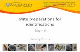 Mite preparations for identifications - Biodiversity Projects Mite...Preservation Mite stored in alcohol Mite soaked overnight in 90% lactic acid (on warmer) Mite placed on slide in