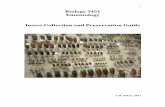 Biology 3451 Entomology Insect Collection and …mta.ca/~raiken/Courses/3451/Labs/InsectCollPrep.pdf · ! 2 BIOLOGY 3451 - INSECT COLLECTION AND PREPARATION GUIDE ! A very important