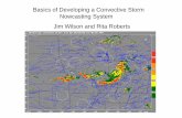 Basics of Developing a Convective Storm Nowcasting … · Basics of Developing a Convective Storm Nowcasting System Jim Wilson and Rita Roberts. ... Radar Surface weather stations