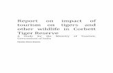 corbett tourism report - India Environment .case particularly Corbett tiger Reserve. ... tourist