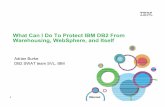 What Can I Do To Protect IBM DB2 From Warehousing ...laadb2ug.org/Downloads/Protecting DB2 From... · What Can I Do To Protect IBM DB2 From Warehousing, WebSphere, and ... • DB2