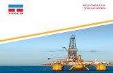 SOLUTIONS - Tesco Corporation Completion... · DEEPWATER SOLUTIONS Q TESCO Offshore Services, Inc. has completed over 160+ ... Jack Up Rigs, and Floaters Q Components of a package