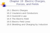 19.3 Coulomb’s Law 19.2 Insulators and Conductors Forces ...physics.gsu.edu/hsu/LCh19.pdf · Chapter 19 Electric Charges, Forces, and Fields 19.1 Electric Charges 19.2 Insulators