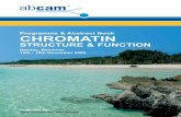 Programme & Abstract Book CHROMATIN - Abcam · Programme & Abstract Book CHROMATIN STRUCTURE & FUNCTION Nassau, ... androgen receptor dependent transcription ... 10:00 Benoit Guillemette