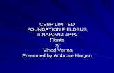 CSBP LIMITED FOUNDATION FIELDBUS in NAP/AN2 … · FOUNDATION FIELDBUS in NAP/AN2 &PP2 Plants by ... – As compared to just copying hardwired DCS design from previous plant ... (Siemens