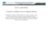 FCE ASM 2016 Carbon cycling Cross-Cutting Themefcelter.fiu.edu/.../Carbon_CCT_presentation-2016_FCE_LTER_ASM.pdfFCE ASM 2016 Carbon cycling Cross-Cutting Theme WORKING GROUP PARTICIPANTS: