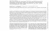 Morphologicalchanges mucosa in vitro in vivo - Gutgut.bmj.com/content/gutjnl/11/6/486.full.pdf · Gut, 1970, 11, 486-492 Morphologicalchanges ofthe small-intestinal mucosaofguineapig