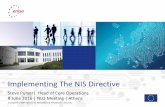 Implementing The NIS Directive - European Network and ... · European Union Agency for Network and Information Security Implementing The NIS Directive ... the implementing ... by