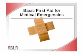 BASIC FIRST AID - WordPress.com · Four Basic Rules 1. PROTECT THE VICTIM AND YOURSELF. 2. CALL 112 3. AID THE VICTIM © Business & Legal Reports, Inc. 1110