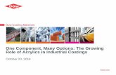 One Component, Many Options: The Growing Role of … · ‒ Extreme environment corrosion protection ... Challenges of Improving Corrosion Resistance ... • Anticipating future industrial