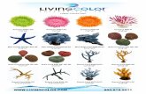 Living Color Coral Collection and Public aquarium Catalog ...€¦ · Tube Sponge #195 BLGY Tube Sponge #195 DPK Velvet Stone Coral #161 DPK Velvet Stone Coral #279 DPK Velvet Stone