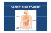 Gastrointestinal Physiology - Zhejiang Universitym-learning.zju.edu.cn/G2S/eWebEditor/uploadfile/20111031093752... · – Inhibits the motility of gastrointestinal tract – Stimulates