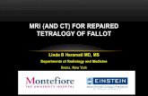 MRI (AND CT) FOR REPAIRED TETRALOGY OF FALLOT · 2013-12-05 · MRI (AND CT) FOR REPAIRED TETRALOGY OF FALLOT. OUTLINE •Pathogenesis ... Surgery for tetralogy of Fallot . IMAGING
