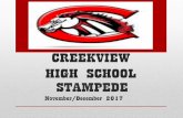 CREEKVIEW HIGH SCHOOL STAMPEDE · The guidance lesson for the month on November focuses on Bullying ... Pet care/supplies, hair/nail receipts ... find a treat or lit tle gift in their