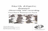 The North Atlantic Gannet Final - ASAB · The behaviour of the North Atlantic Gannet ... (AS/A2) Biology and Psychology ... a map can be plotted using the grid provided on