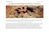 A Guide for Acquiring and Caring for Tarantulas ...static.nsta.org/connections/middleschool/201504Wagler.pdf · A Guide for Acquiring and Caring for Tarantulas ... Aphonopelma Aphonopelma