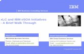 xLC and IBM eSOA Initiatives - A Brief Walk Through · xLC and IBM eSOA Initiatives - A Brief Walk Through Albert Opher ... No additional license fee required – since ECC5/on SAP