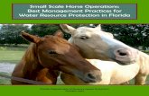 Small Scale Horse Operations: Best Management Practices ... · Small-Scale Horse Operations: Best Management Practices for Water Resource Protection in Florida Florida Department