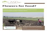 Sustainable Development Flowers for food?knowledge4food.net/.../2016/02/20160218-LANDac_Flower-Report-WE… · Sustainable Development Flowers for food? ... This scoping study consists