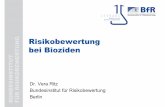 Risikobewertung bei Bioziden Ritz - .Vera Ritz, Advanced Course “Risikobewertungskonzepte”, 26.02.2018